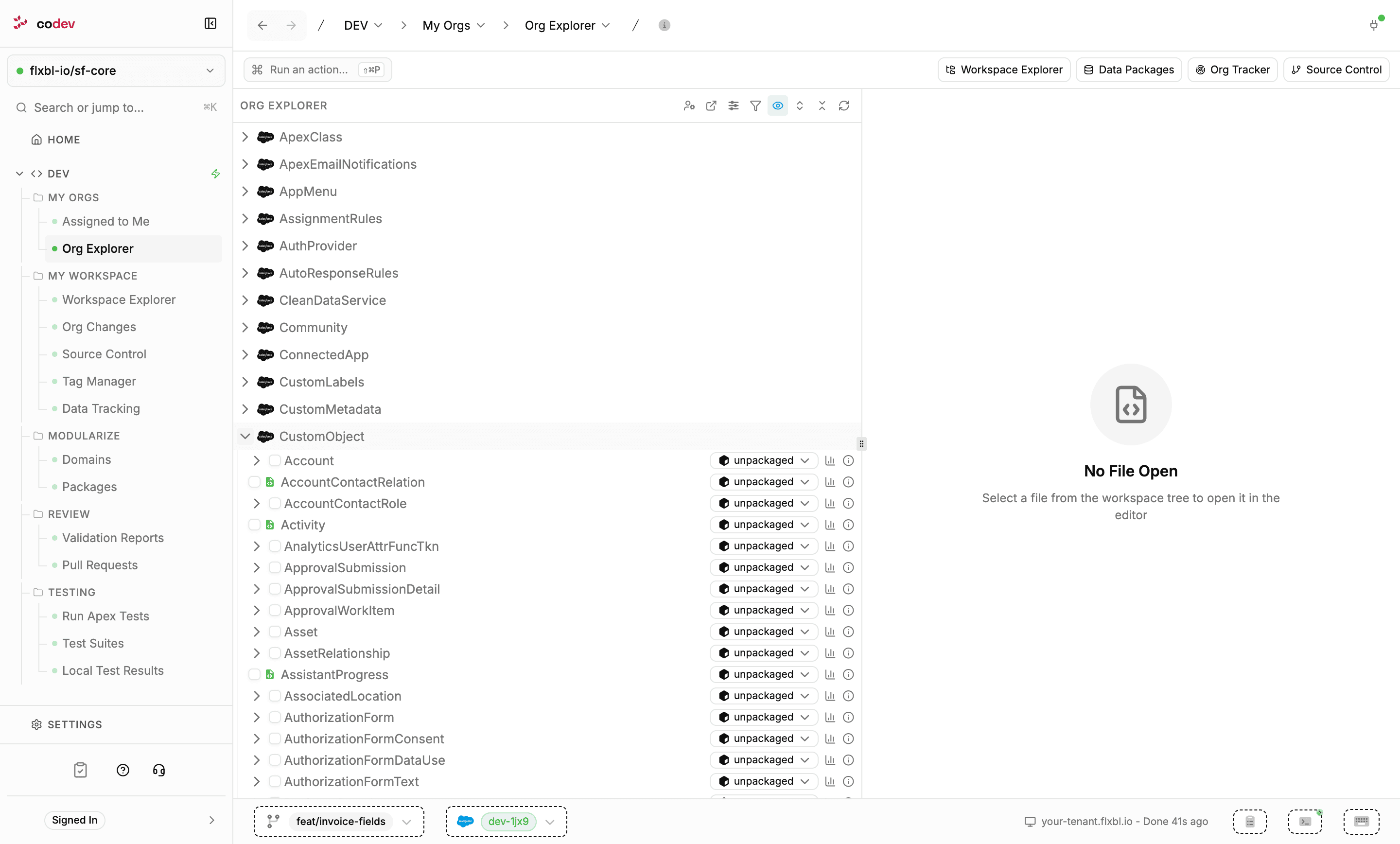 Org Explorer listing the org's metadata types, with CustomObject expanded to show objects and a package selector on each row