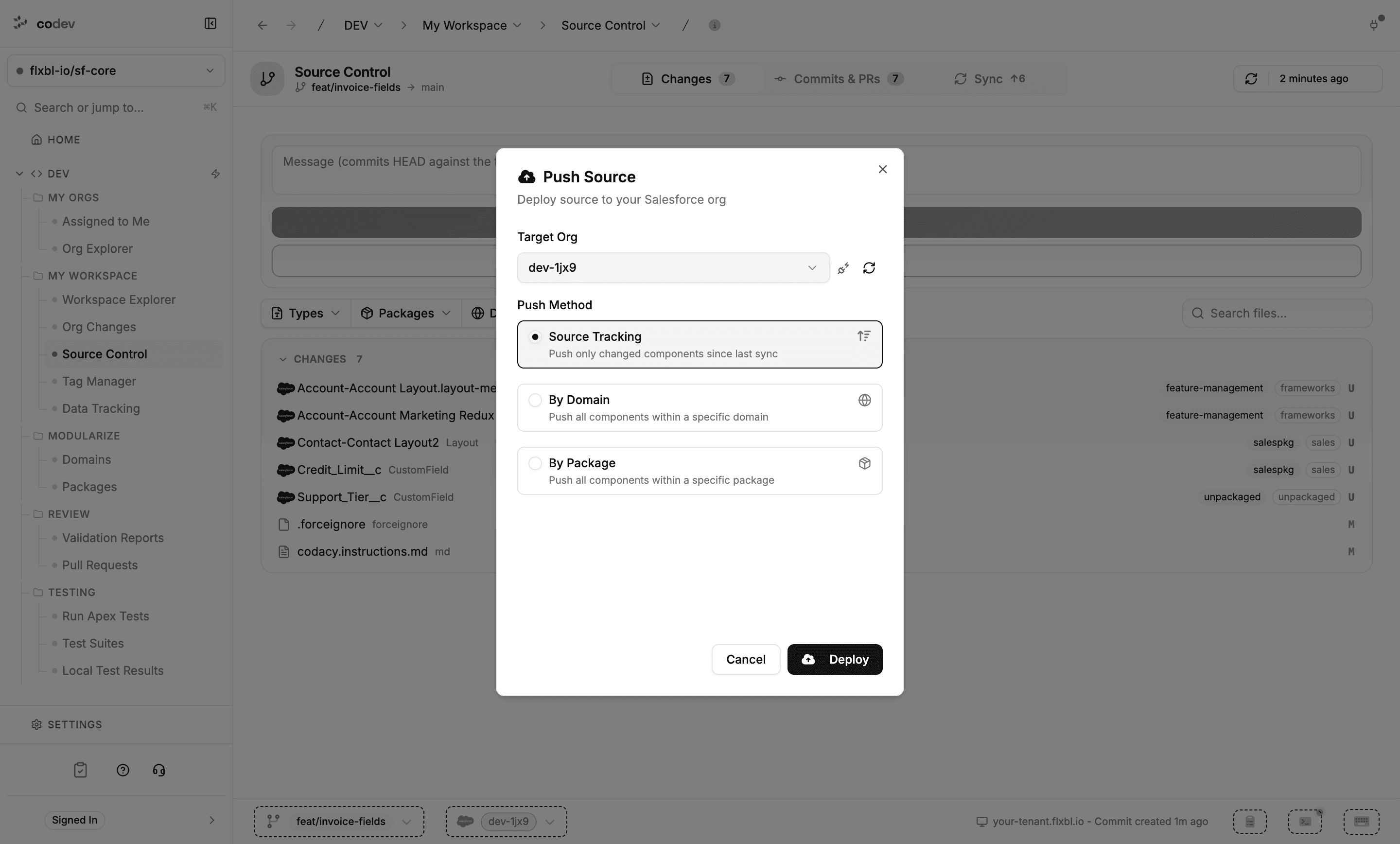 The Push Source dialog with a target org selector and push methods: Source Tracking, By Domain, By Package