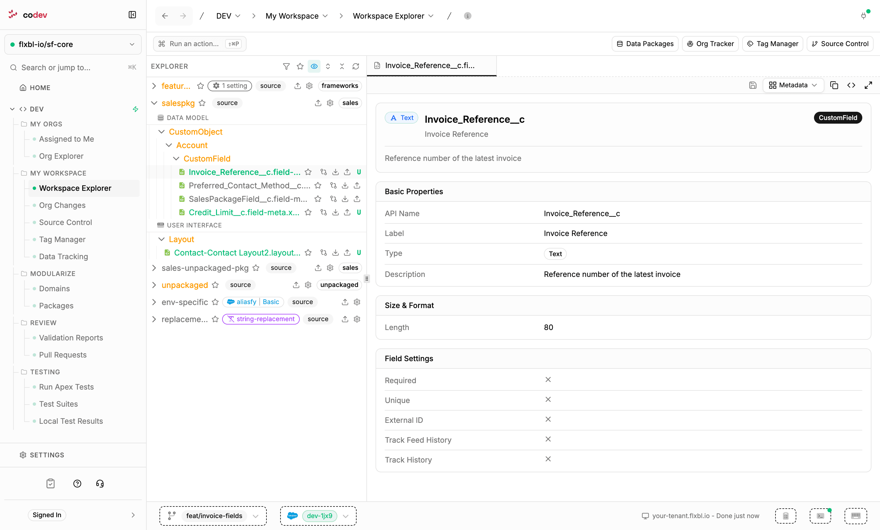 Workspace Explorer with a package expanded to show custom fields, and a field open in the structured Metadata editor view