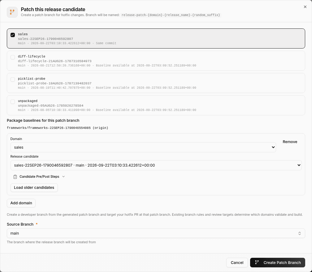 Patch dialog with a companion candidate from another domain selected